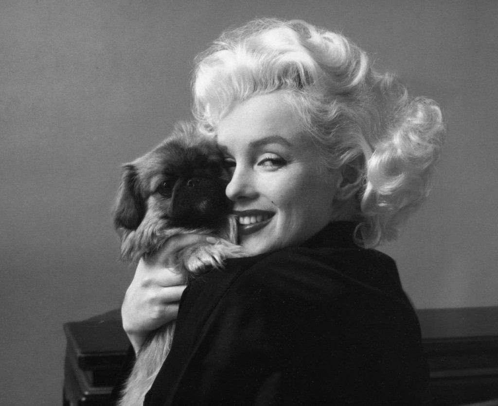 Marilyn-Monroe-3